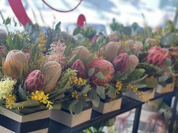 Elegant wildflower box arrangement featuring a vibrant mix of Australian native flowers including Protea, Banksia, and Eucalyptus in a stylish, posy box